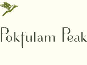 Pokfulam Peak