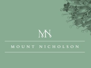 Mount Nicholson