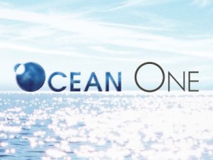 Ocean One